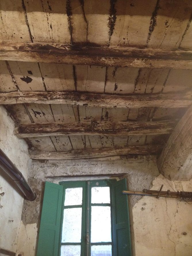 Before image