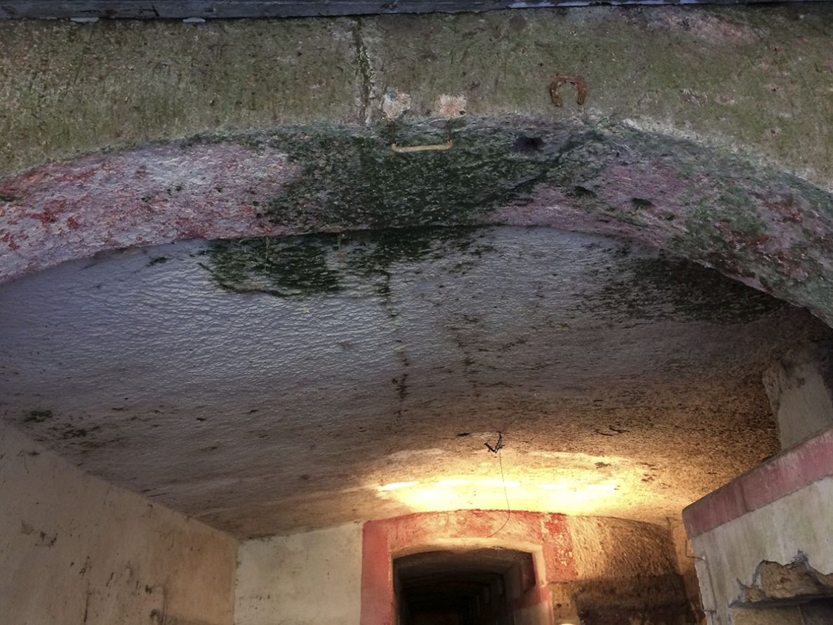 Before image