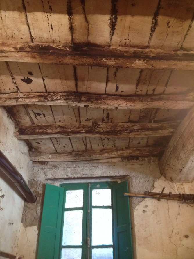 Before image