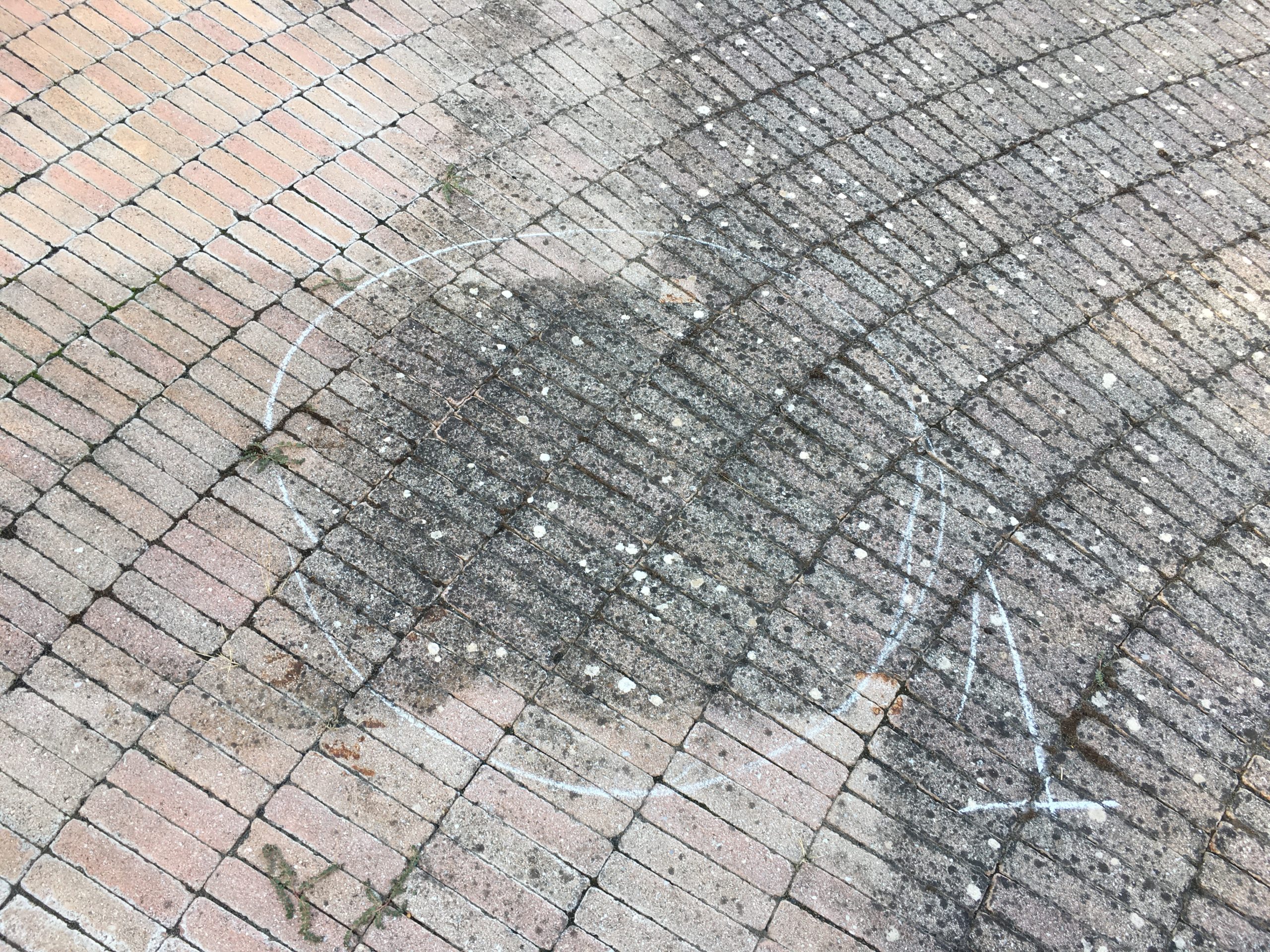 Before image