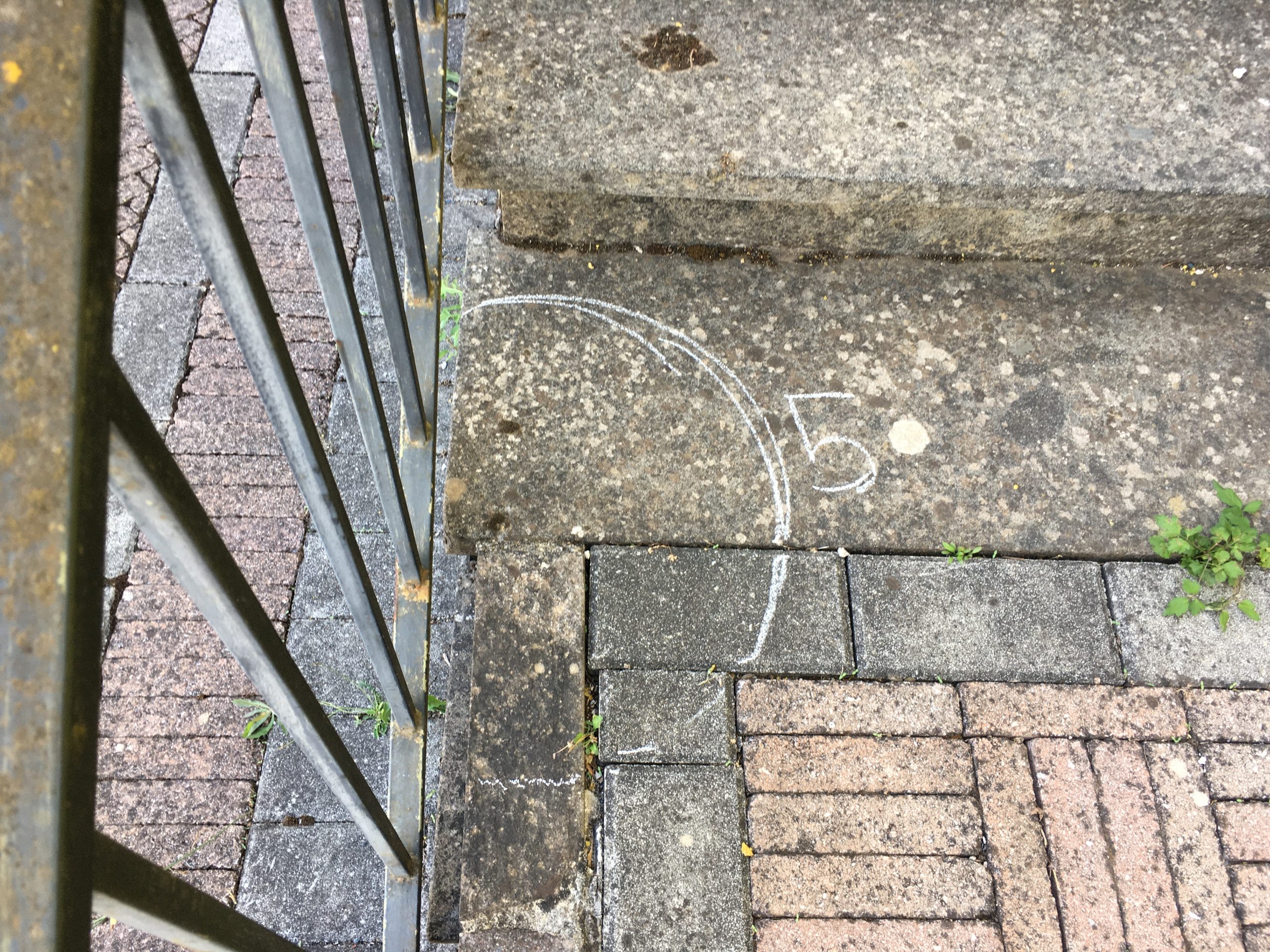 Before image
